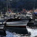 Fishing fleet laid up during a harvesting ban after a spill in Korea