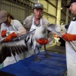 Pacific Adventurer incident, Australia, 2009